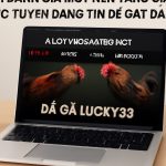 https://lucky88games.net/ có gì đáng chơi? Trải nghiệm giải trí và mẹo tham gia an toàn